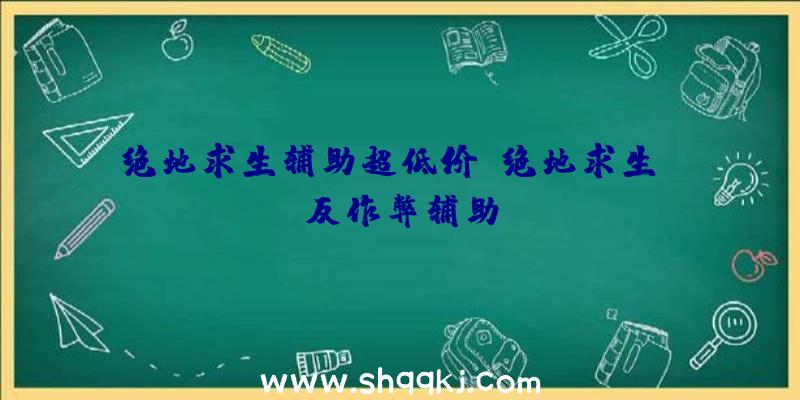 绝地求生辅助超低价、绝地求生